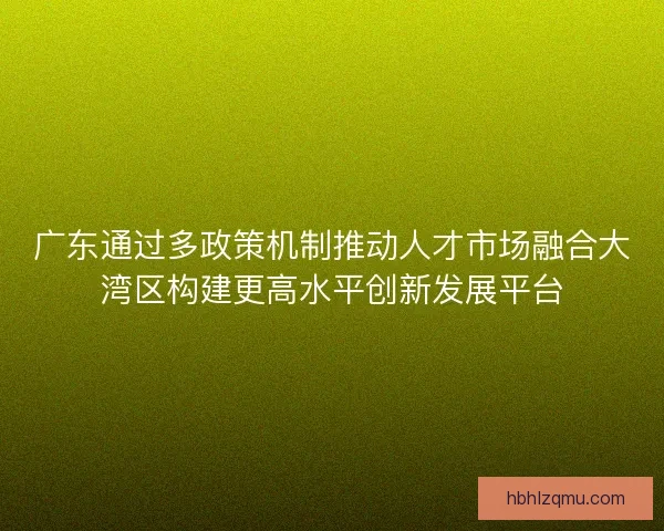 广东通过多政策机制推动人才市场融合大湾区构建更高水平创新发展平台